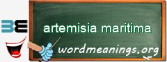 WordMeaning blackboard for artemisia maritima